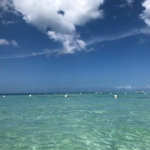 Meet your Posher, Don